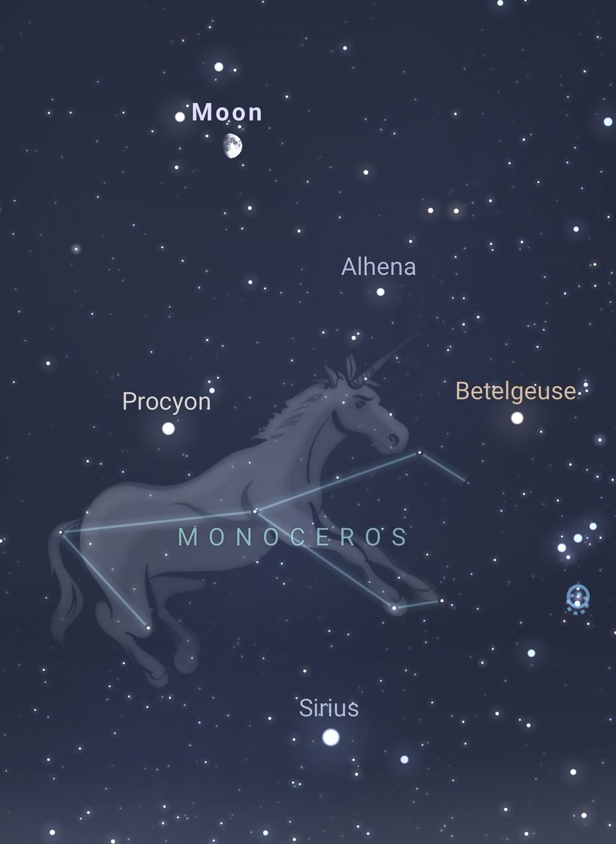 remus and sirius today<33