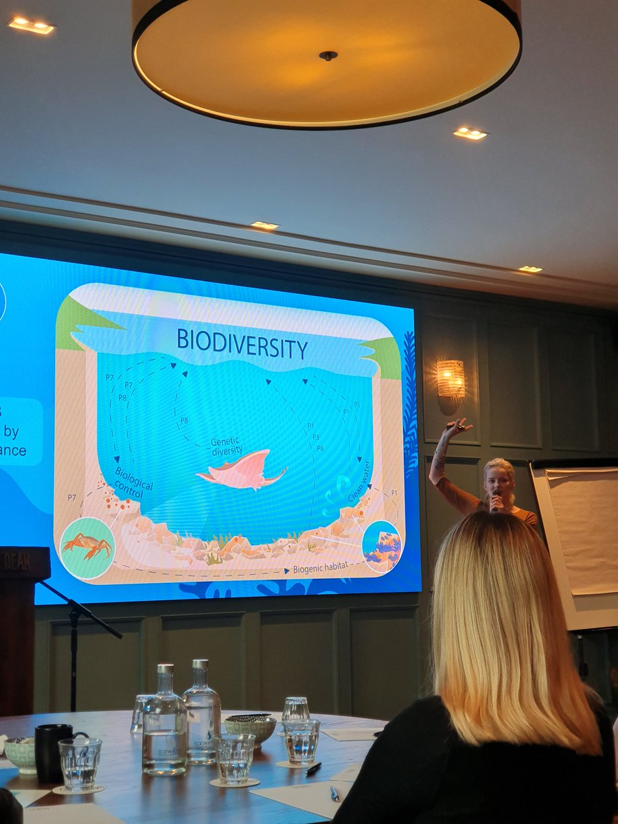 ErinMc_keown's tweet photo. Fantastic to be with #FlapperSkate Working Group this week.

Great to present the outcomes of @seadeepni (@UlsterWildlife project), hear about vital ongoing research &amp; see how we can tie it all together to restore this incredible species 🦈🌊

Thanks for organising @AmyGarbett3 https://t.co/8SrhwimqNY