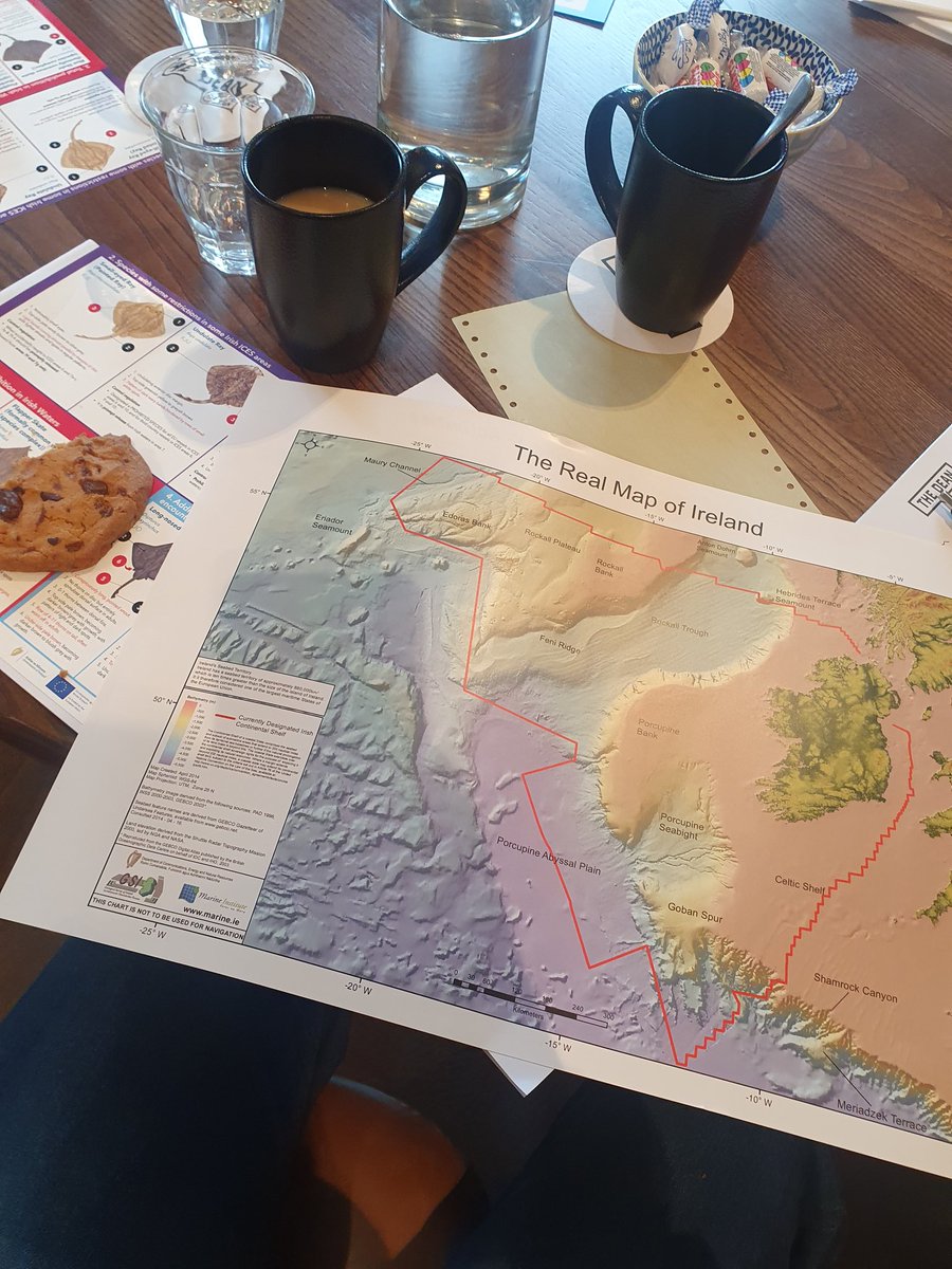 ErinMc_keown's tweet photo. Fantastic to be with #FlapperSkate Working Group this week.

Great to present the outcomes of @seadeepni (@UlsterWildlife project), hear about vital ongoing research &amp; see how we can tie it all together to restore this incredible species 🦈🌊

Thanks for organising @AmyGarbett3 https://t.co/8SrhwimqNY
