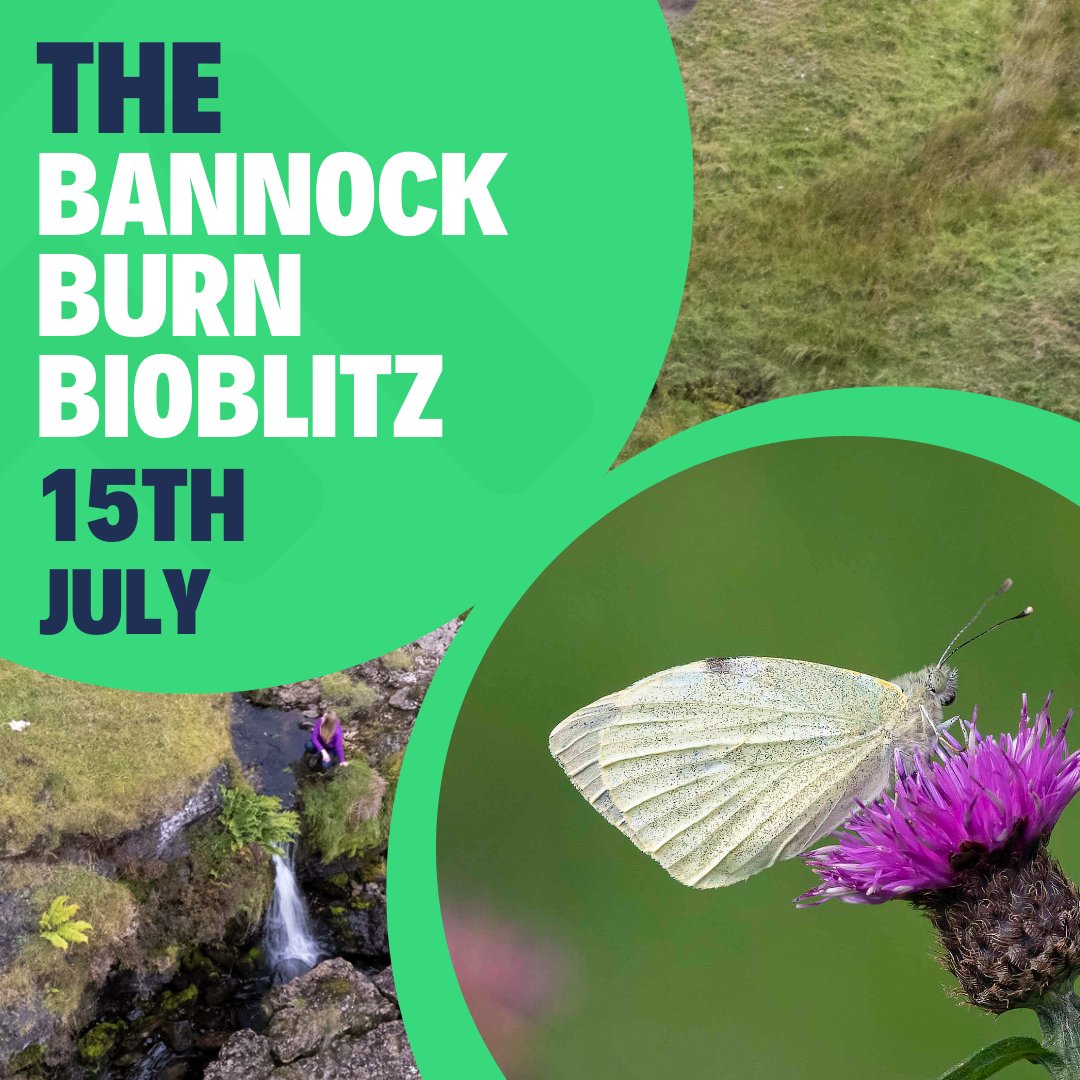 Drumroll please... The THIRD annual Bannockburn BioBlitz is on 15th of July. Get it in your diaries. FREE as usual because nature and learning about our precious environment is for EVERYONE! Check out wildbannockburn.com for more info on the grassroots event x
