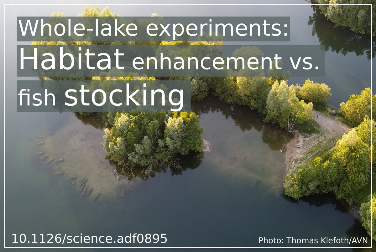 Johannes Radinger 🐟 tweet media