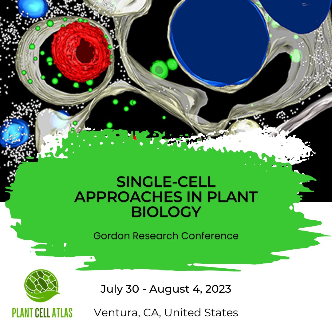 PlantCellAtlas on Twitter "Dr. Ruwanthi (Ru) Gunawardane is Executive
