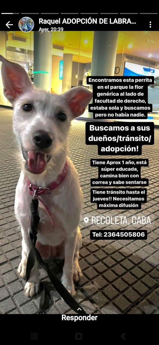 Tabyta201's tweet photo. 🔴SR NECESITA ENCONTRAR A SU FAMILIA O TRÁNSITO 2364505806 https://t.co/MpPYcgrAlE