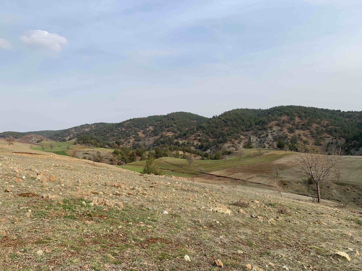 faultcreeper's tweet image. Uphill facing fault plane, faulted terrace with thrashed village in background, and ruptures extending along linear valley .