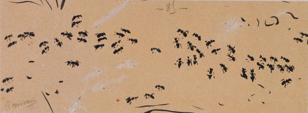 Pierre Bonnard
Ants
Ink on paper, 1904