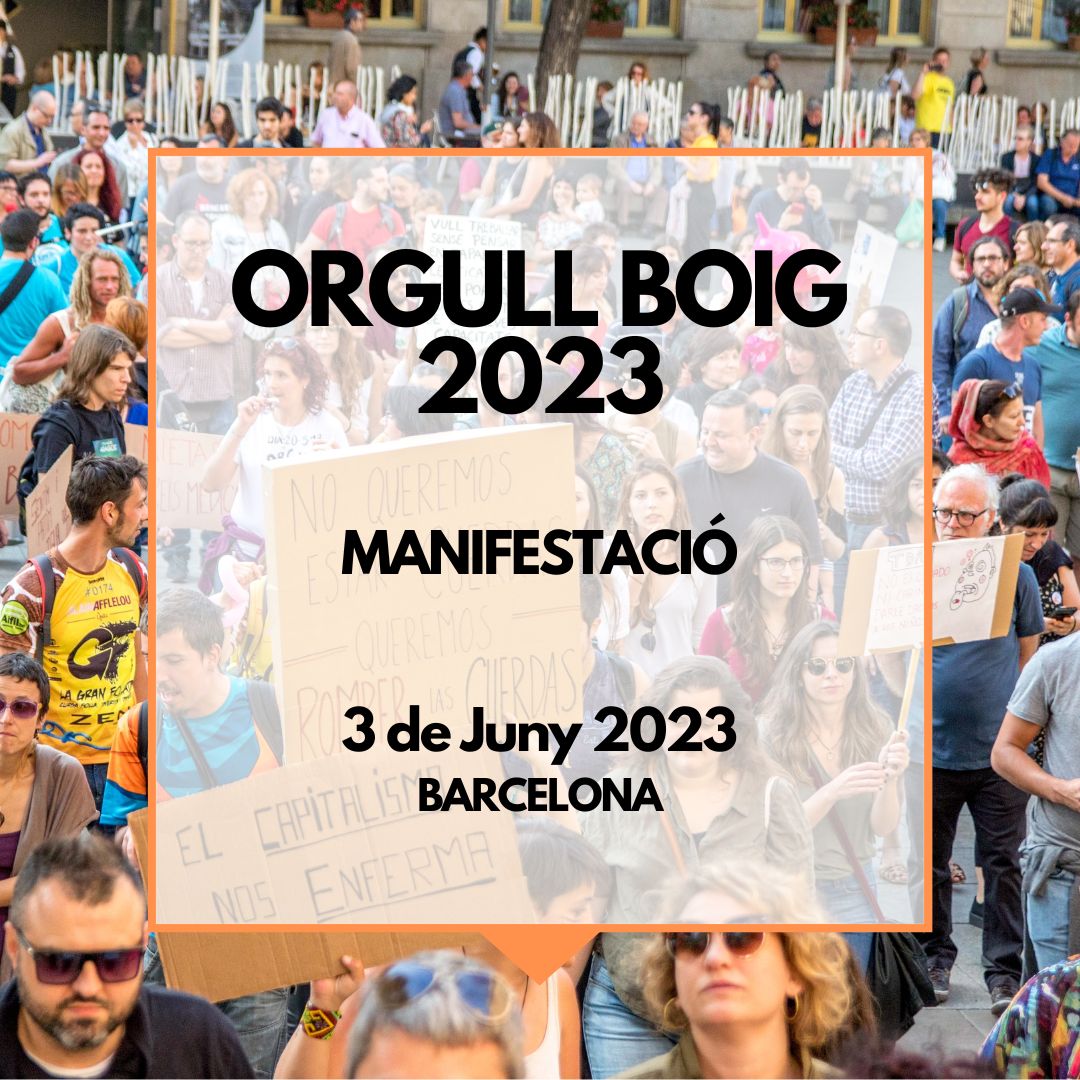 OrgullBoig tweet media