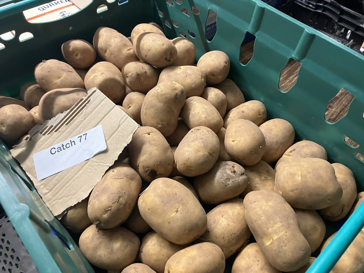 catch77cic's tweet photo. Still plugging away at the gap between what local families deserve to be eating and what they can afford to eat. Food prices going up, availability of surplus going down. And ever less grant, charitable and government money to help. #endchildfoodpoverty https://t.co/xVvkG0Eh6b