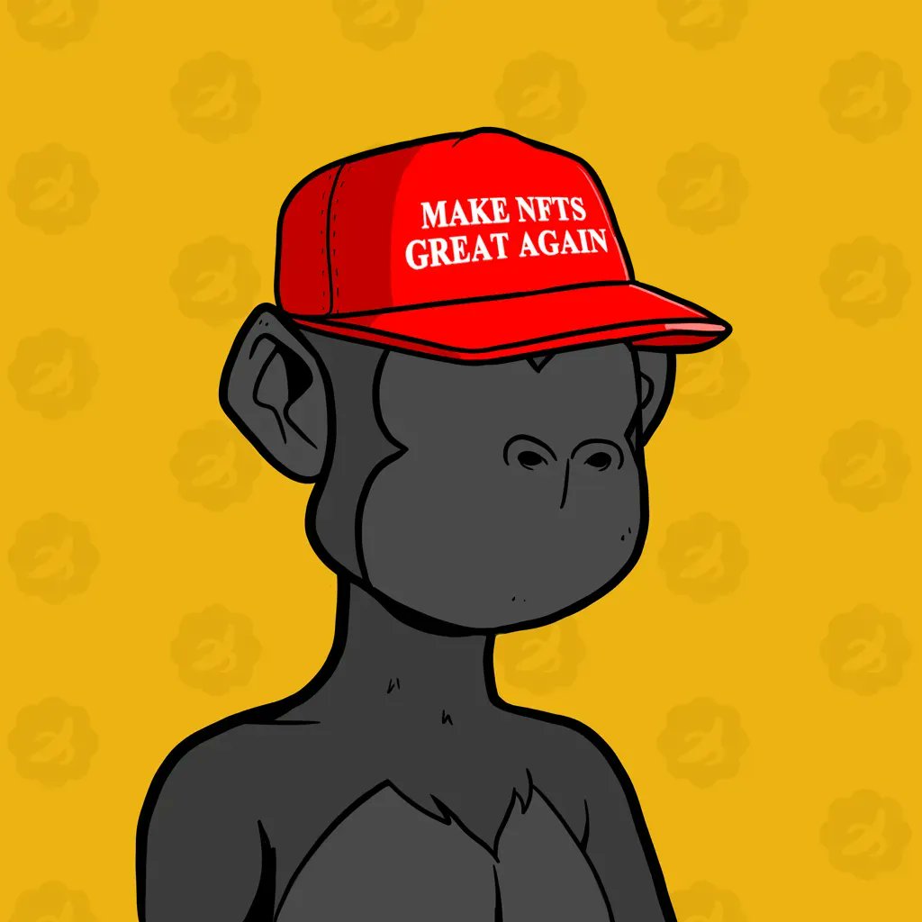 Wikipit_'s tweet image. 👀🧢 @MACKS_NFT