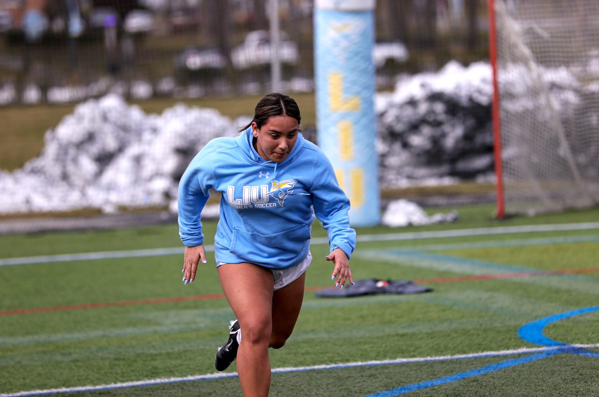 LIUWSoccer's tweet photo. 🏃‍♀️Getting in our conditioning ahead of our spring ⚽️schedule. https://t.co/cUiMdzq5Rf