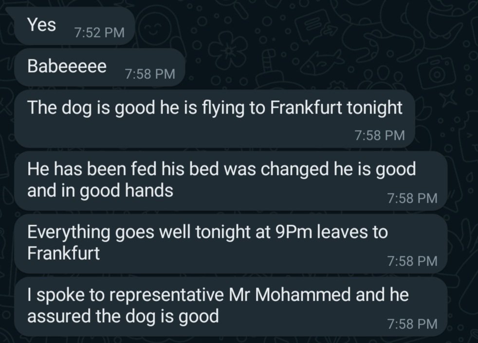 ModerMuna's tweet photo. @cabankim @troycpope @Dulles_Airport Dogos are good https://t.co/O5UojxbOYZ