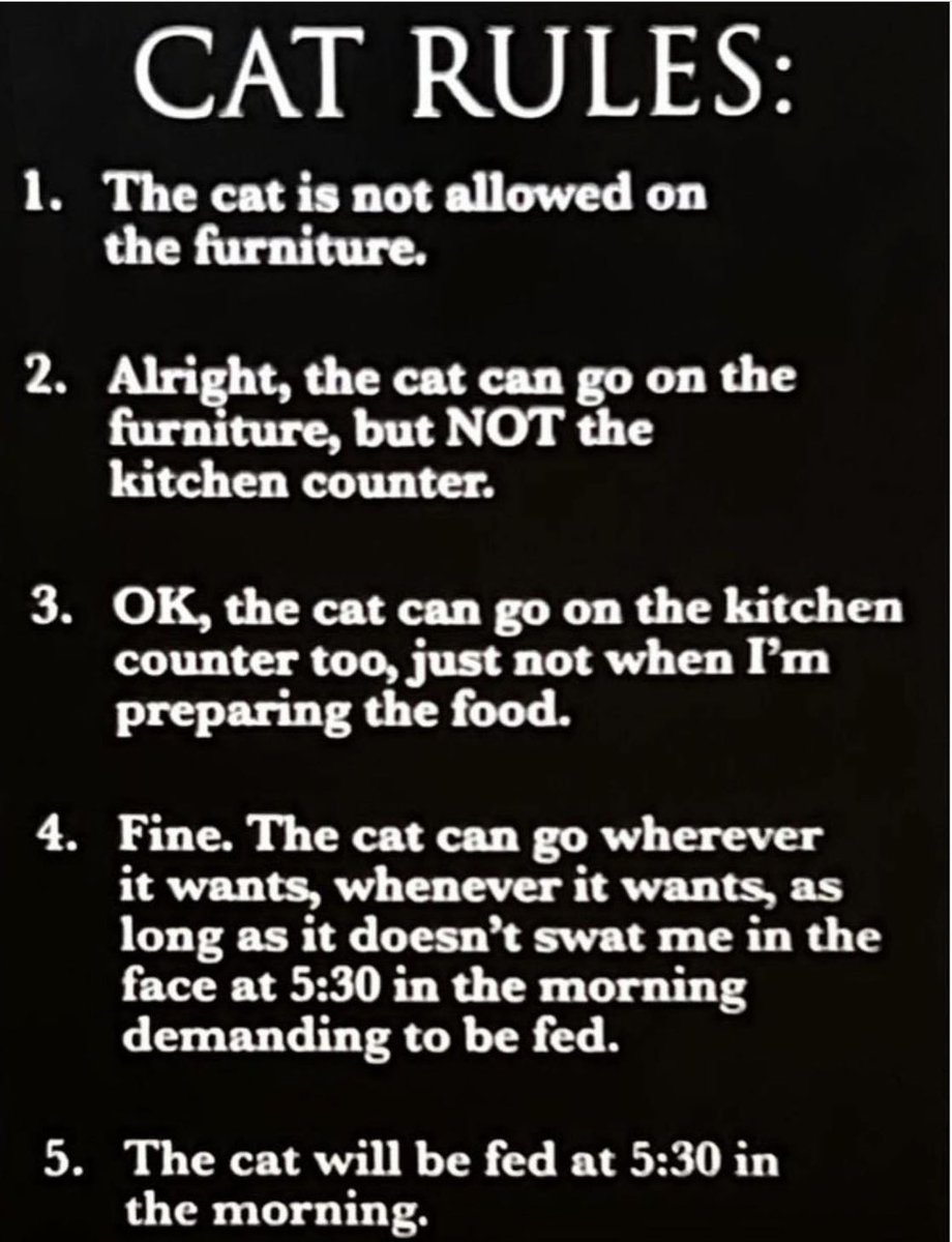 travel_run_lift's tweet image. 100% accurate. 😂😂😂 

#cats #catrules #catsareincharge