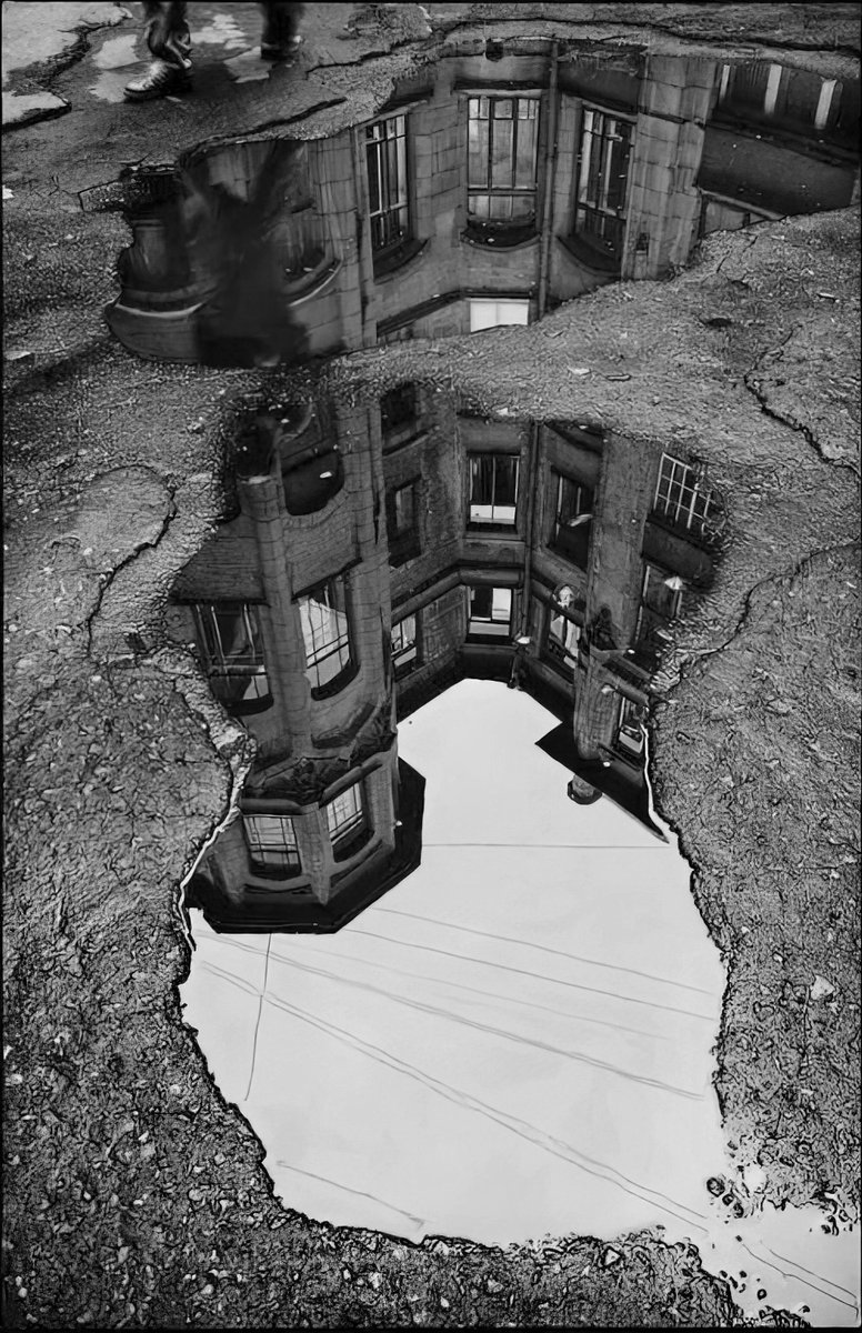 cameralab21's tweet photo. Puddle by Moon Hedgehog (35PHOTO) https://t.co/NQkoRMIMAt