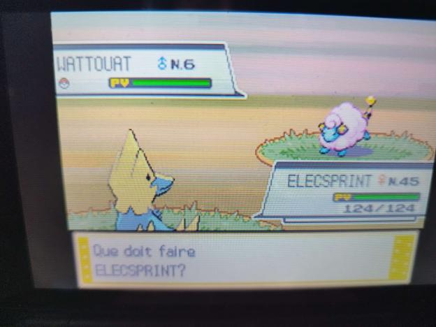Baiitho's tweet photo. ✨Shiny Mareep✨in Pokémon Heartgold after 6158 REs ! Is that a Pinky Cloud or some Candy Floss ? 😋 https://t.co/67vPsjLsCL