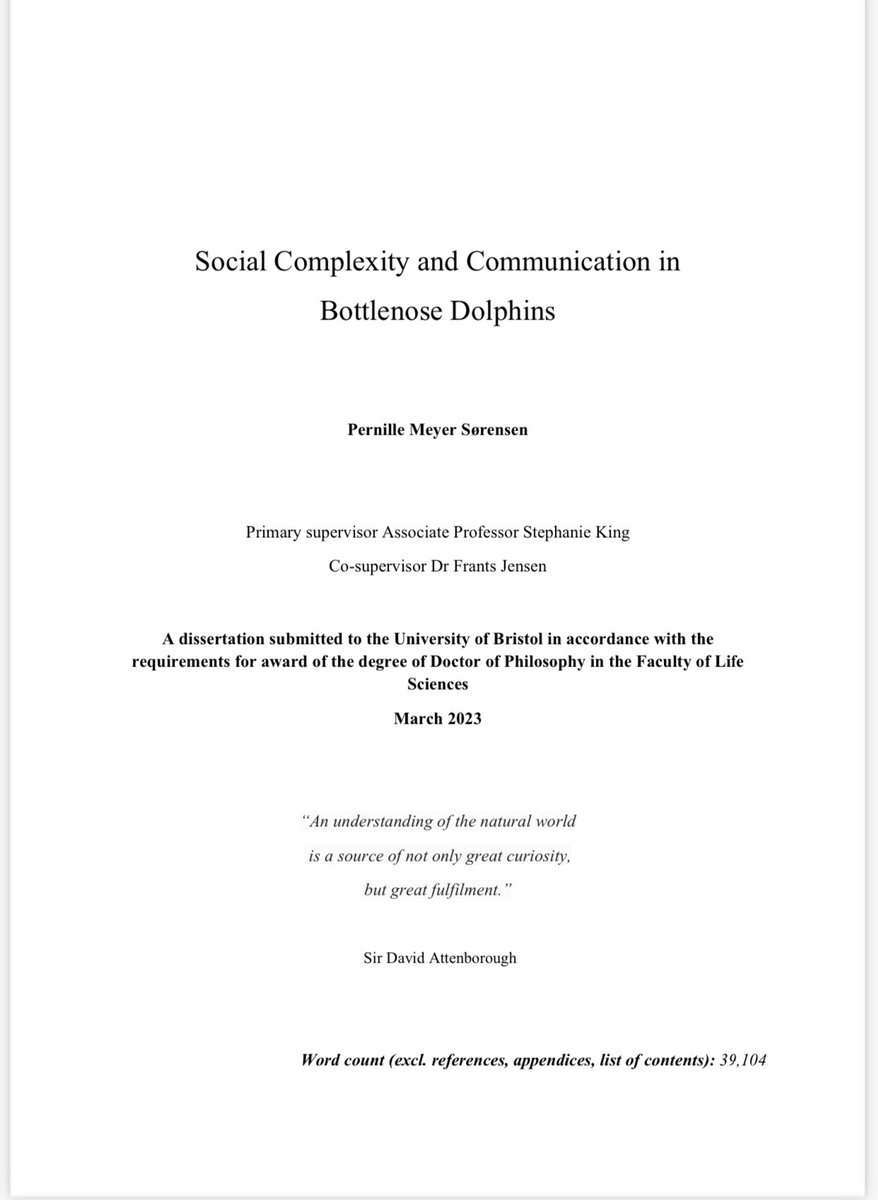 Stephanie L King @stephanielking.bsky.social (@_stephanielking) on Twitter photo HUGE congrats to <a href="/PernilleMS/">Pernille M Sørensen</a> for submitting her PhD on social complexity + communication in bottlenose dolphins🐬 I couldn’t be prouder of what you have achieved with this thesis + it’s been an absolute pleasure to be part of your academic journey <a href="/frantsjensen/">Frants Jensen, PhD</a> <a href="/ResearchDolphin/">Shark Bay Dolphin Research</a> HUGE congrats to <a href="/PernilleMS/">Pernille M Sørensen</a> for submitting her PhD on social complexity + communication in bottlenose dolphins🐬 I couldn’t be prouder of what you have achieved with this thesis + it’s been an absolute pleasure to be part of your academic journey <a href="/frantsjensen/">Frants Jensen, PhD</a> <a href="/ResearchDolphin/">Shark Bay Dolphin Research</a>