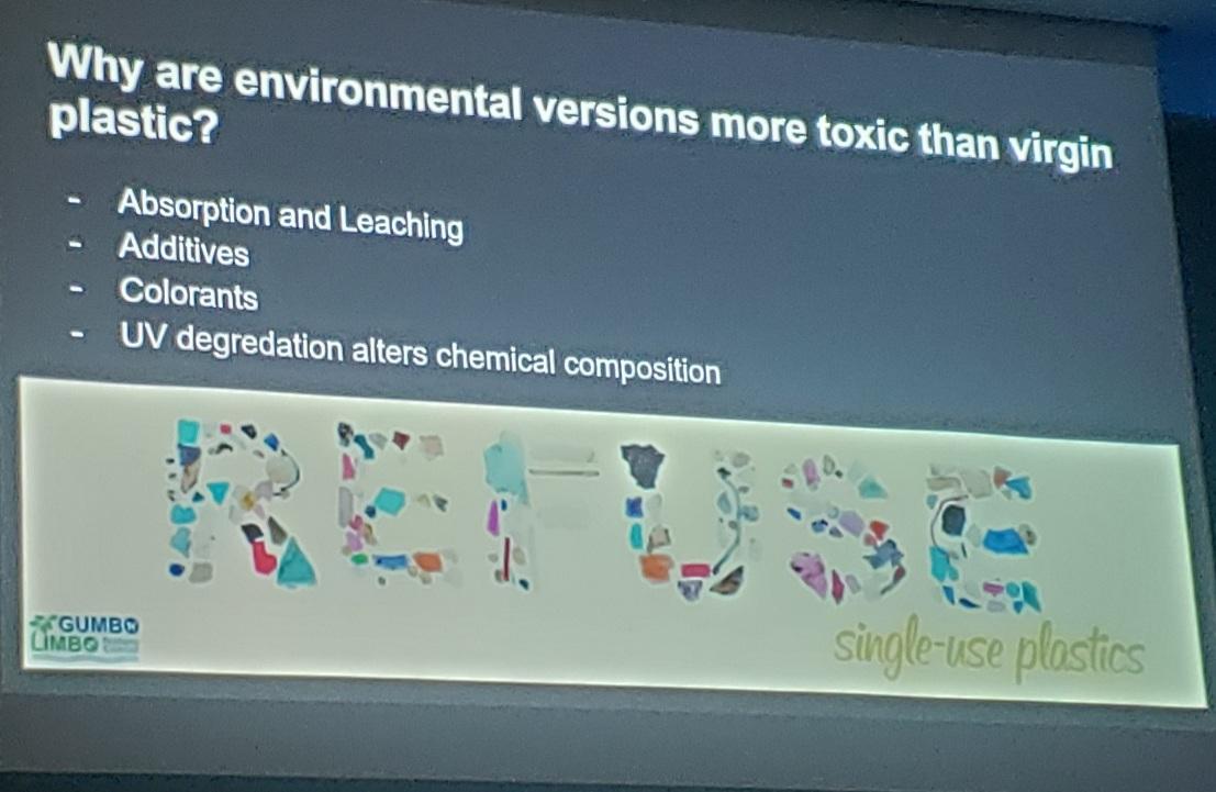 SeaTurtleHosp's tweet photo. Refuse single use plastic! Victoria Summers of @_WhitneyLab_ : 96% of hatchlings have ingested plastic. Environmental plastic is more toxic than the virgin plastic often used in studies. Plastic kills. #SERSTM #nomoreplasticpollution #REFUSEreuserecycle https://t.co/rPWK7gmKdk