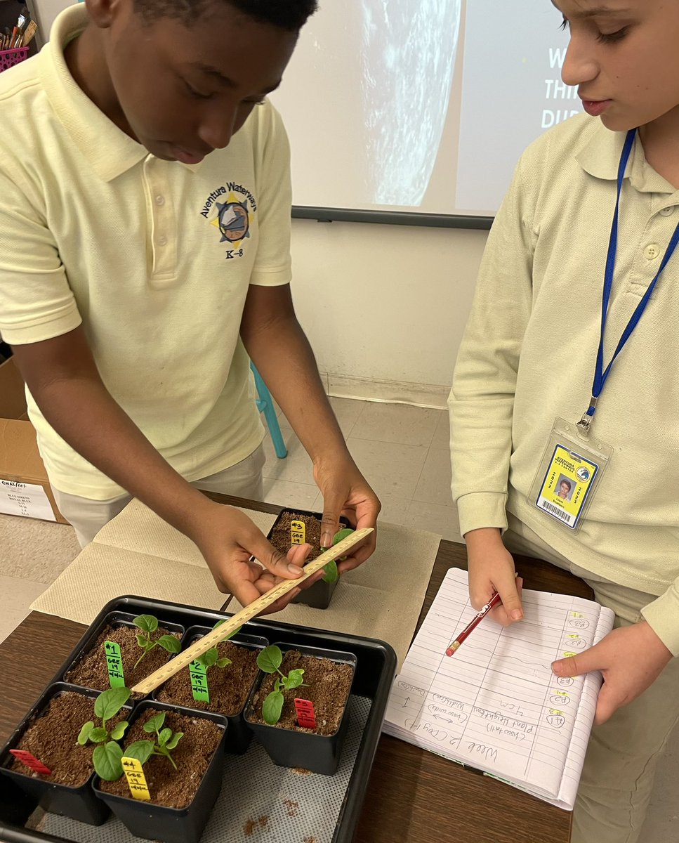 Ms Ro-Do tweet media