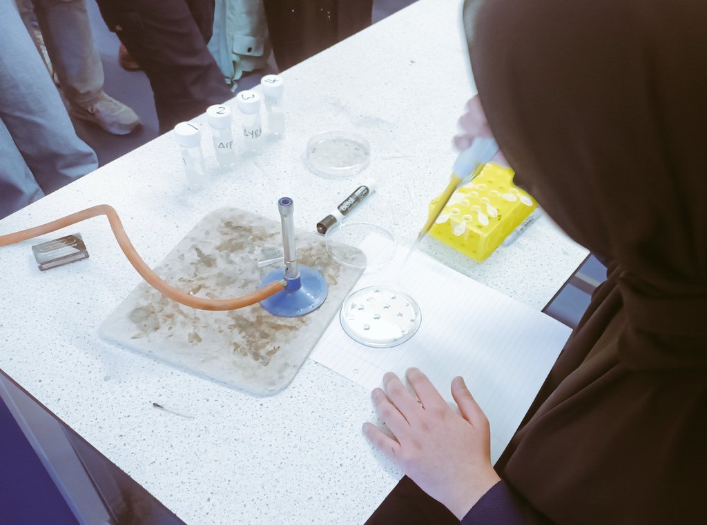 Not the phenotypes we were hoping for! Going to start over to be sure! That's all part of  Science!
#MND <a href="/TaptonSchool1/">Tapton School</a> <a href="/royalsociety/">The Royal Society</a> #partnershipgrants <a href="/ResearchInSch/">Research in Schools</a>