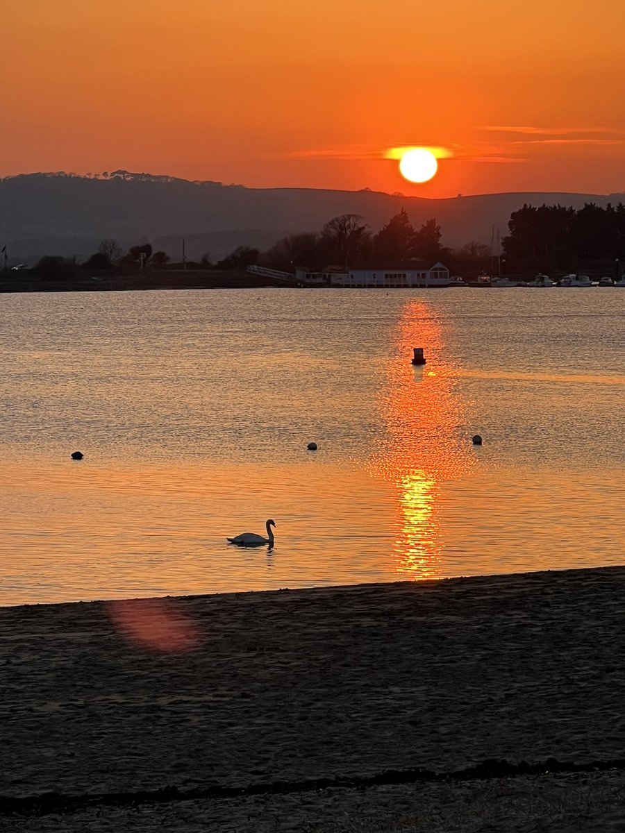 GailB64's tweet photo. Beautiful evening walk #iow #bembridgeharbour #welivehere https://t.co/j4aytT4hQI