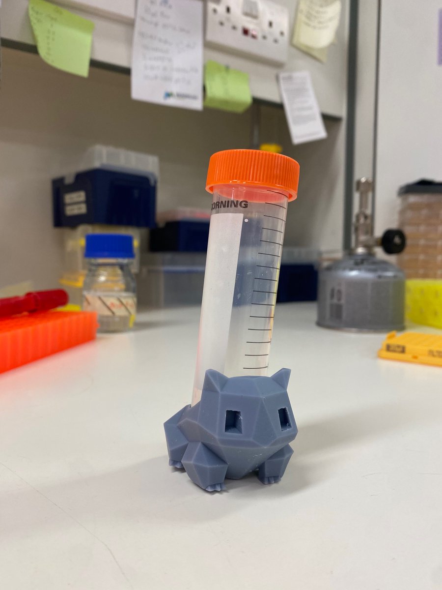 Ainsley Beaton tweet media