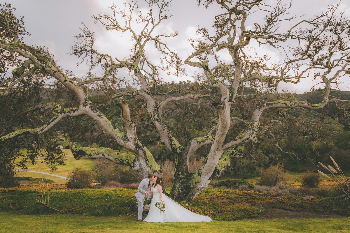 🌲Trees are magical and so was this couple! I absolutely love this capture from C&J's wedding day in Monterey 💚

#montereywedding #californiawedding #weddingphotography #weddingphotographer #elope #elopement #outdoorwedding #bigsurwedding #bigsurelopement