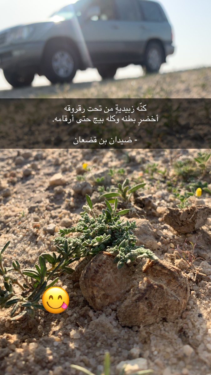 مبارك الدوسري (@brrok5) on Twitter photo 