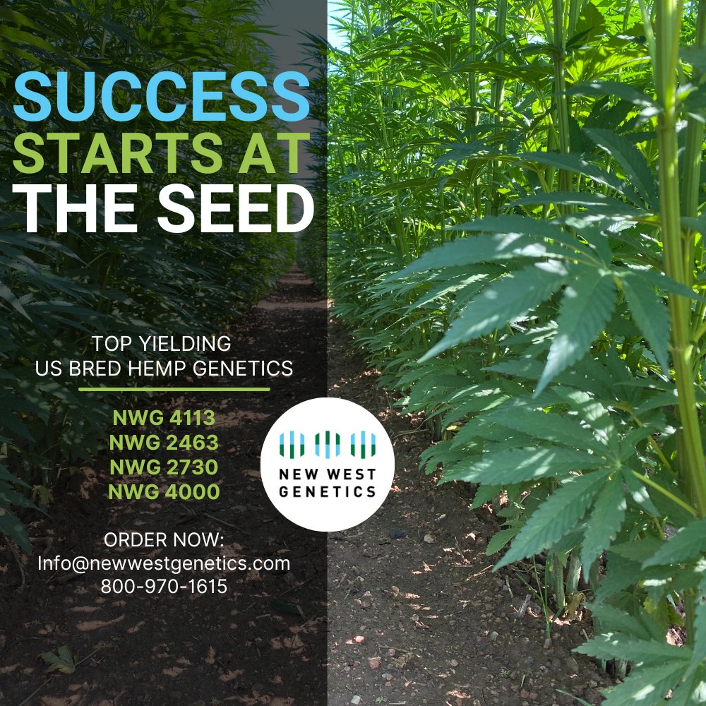 newwestgenetics's tweet image. Time to strike while the Iron is hot - Now is the time to order US bred hemp seed!

Order top-yielding NWG seed here: newwestgenetics.com/order-form/ 
 #seed #ABOUND #genetics #industrialhemp #hempfarmer #grain #fiber
