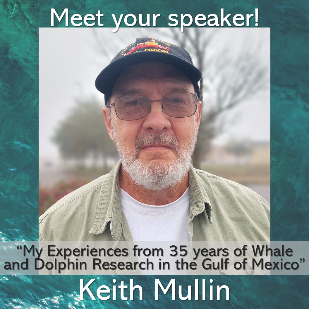 You should dolphin-itely check out 2023's plenary speaker, KEITH MULLIN! He has worked as a Research Biologist for NOAA’s National Marine Fisheries Service Pascagoula Lab in MS since 1986. Read his full bio on our website! #seamamms2023 #marinemammalscience #sciencecommunication