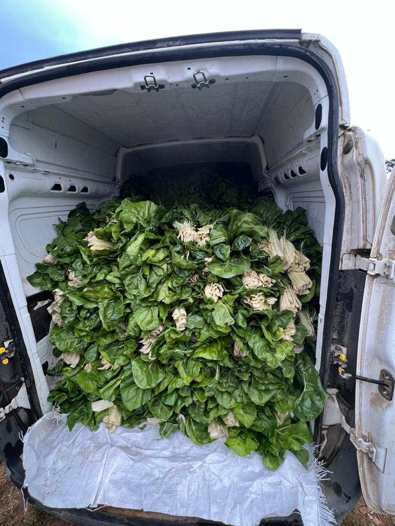 IndapLosLagos's tweet photo. Agricultoras de la Cooperativa Tierra Fértil de #LosMuermos, realizaron su primera entrega de Acelga y Betarraga, como concesionarias de @JunaebLosLagos 

Productos frescos y saludables para las y los estudiantes del territorio, producidos de forma local https://t.co/RWB6WEIODA