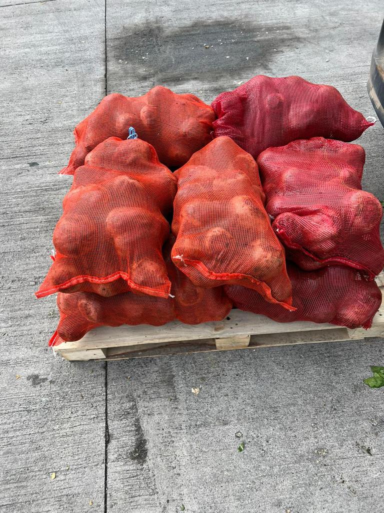 IndapLosLagos's tweet photo. Agricultoras de la Cooperativa Tierra Fértil de #LosMuermos, realizaron su primera entrega de Acelga y Betarraga, como concesionarias de @JunaebLosLagos 

Productos frescos y saludables para las y los estudiantes del territorio, producidos de forma local https://t.co/RWB6WEIODA