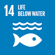 keshoyetu_kenya's tweet photo. Sustainable Development Goal 14 is about "Life below water" and is one of the 17 Sustainable Development Goals established by the United Nations in 2015.The official wording is to "Conserve and sustainably use the oceans, seas and marine resources for sustainable development. https://t.co/G53dm1zJOz