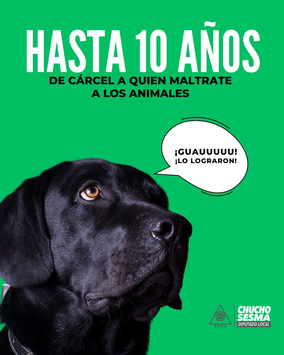 ¡Ya es ley! En la Cdmx se castiga con hasta 10 años de cárcel p quien maltrate 🐶🐱 causándoles la muerte. 

Celebro que el <a href="/GobCDMX/">Gobierno de la Ciudad de México</a> haya publicado las reformas al Código Penal en la #GacetaOficialCdmx

Más ℹ️bit.ly/41DiZ7C