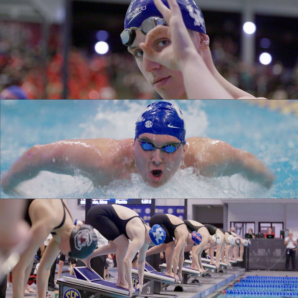 UKSportsVideo's tweet photo. #FridayFrames with @UKSwimDive at the SEC Championships at Texas A&M https://t.co/qKvlK1PW5D