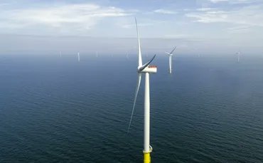 An offshore wind farm operator set up cameras and radars to check how many seabirds collided with its turbines. It tracked 10,000 flights. Not one bird even came close to a collision: buff.ly/3J2Mx7i 

We have the solutions. Implement them. #ActOnClimate

#climate #energy