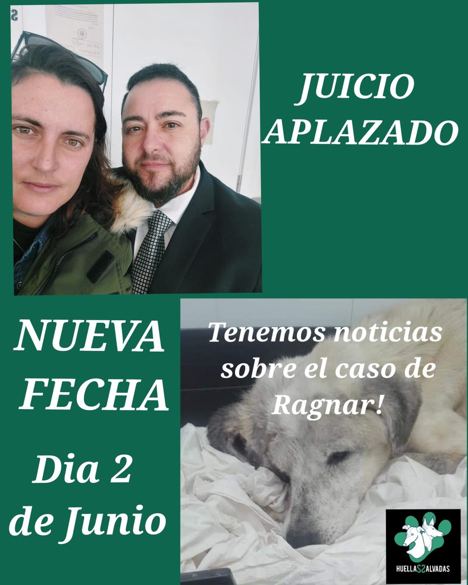 huellassalvadas's tweet photo. ¡Actualización Ragnar! ⚠️

Esta mañana nuestro abogado Eloy de @aboganimal ha conseguido suspender el juicio ya que faltaba citar a unos testigos.

Finalmente será el día 2 de junio y conseguiremos lo que te prometimos Ragnar, ¡JUSTICIA! 

#justiciapararagnar
#noalmaltratoanimal https://t.co/NmgVTlbdG5