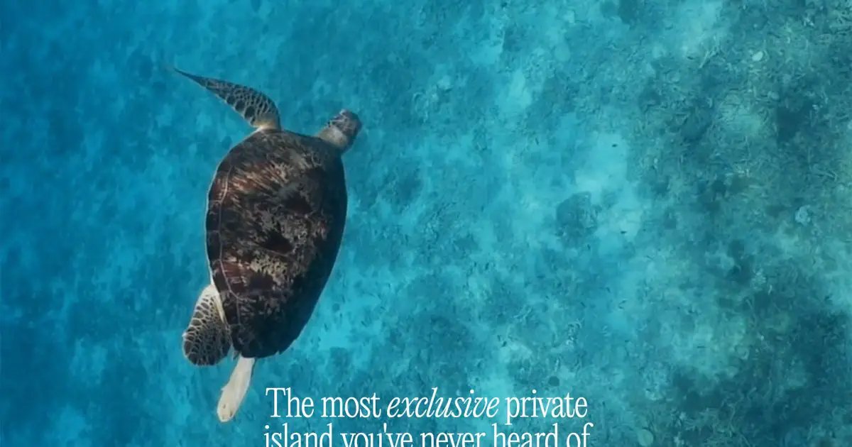 Building 1 Creative tweet media