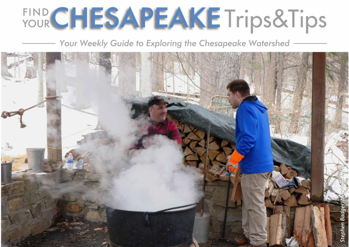 #FindYourChesapeake with Trips & Tips! Celebrate the Maple Syrup Festival at Cunningham Falls State Park, honor Harriet Tubman Day at @TubmanUGRRNPS, attend the St. Patricks Day Parade in Annapolis and more below. findyourchesapeake.com/trip-ideas/art…