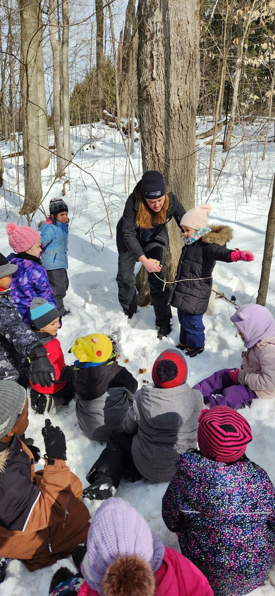 Mrs. Caballero-Abdo FDK tweet media