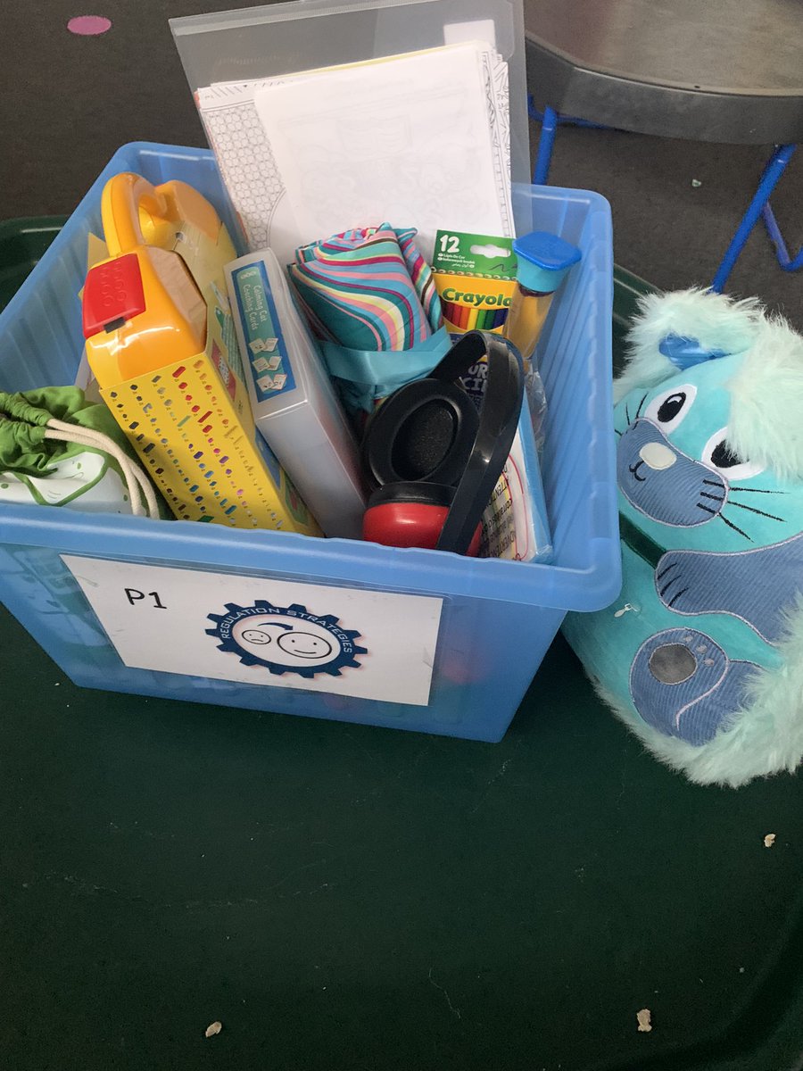 ChirnsydePS's tweet photo. Today each class received their own bespoke regulation box with items they think will help to calm and regulate them. π Thanks to @withkidsscot for your help with this. #bluecog @EmotionWorksCIC https://t.co/G6kbwYD6ij
