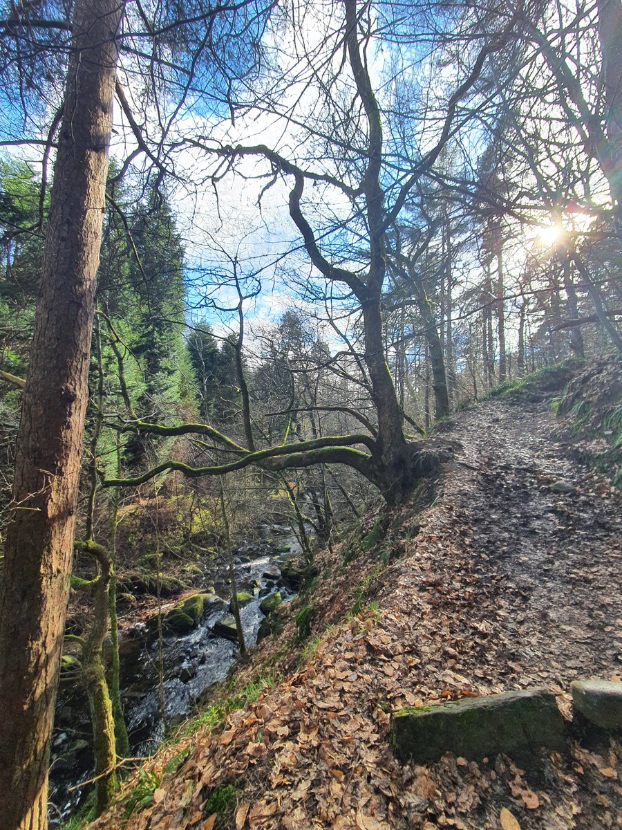 Samuel Townsend tweet media