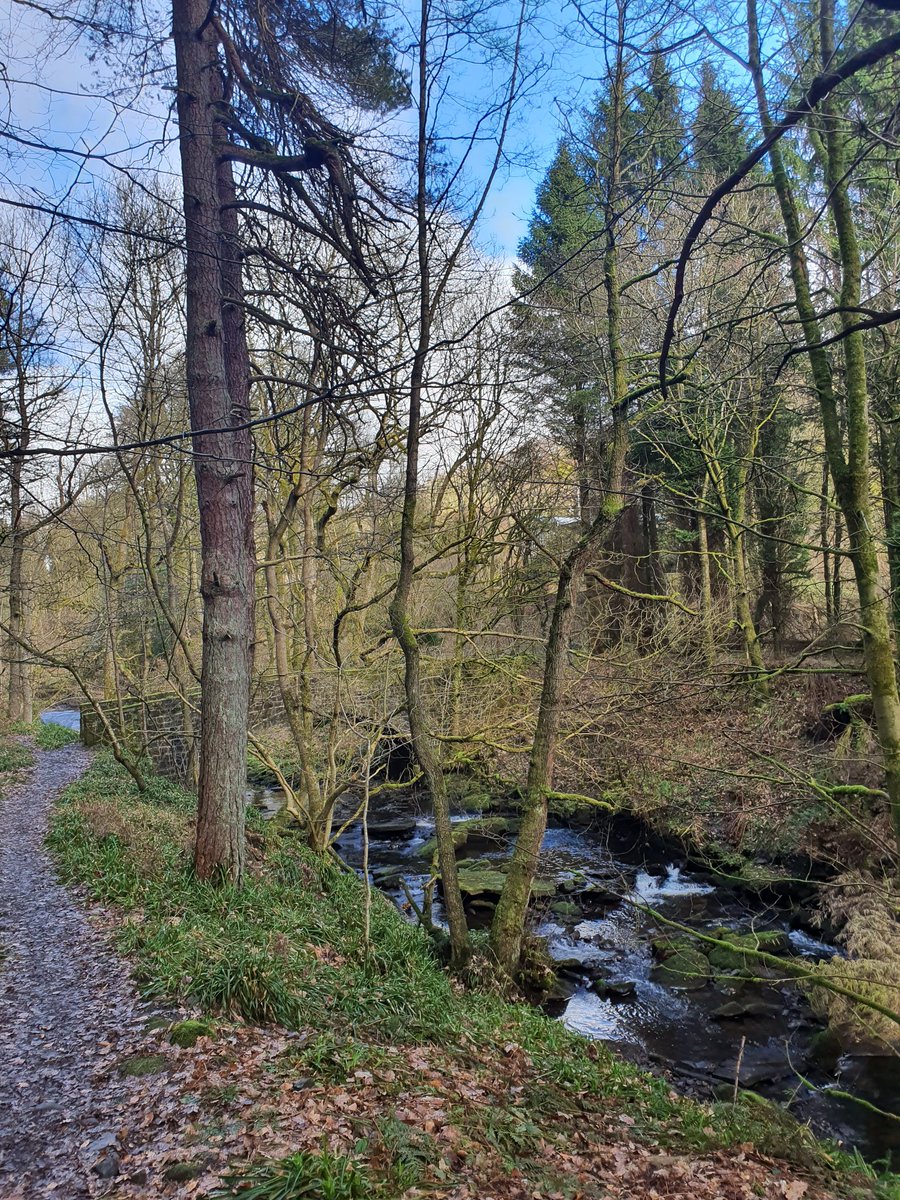 Samuel Townsend tweet media