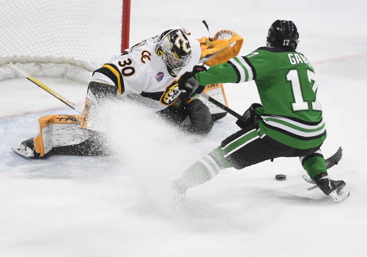 Carson Field tweet media