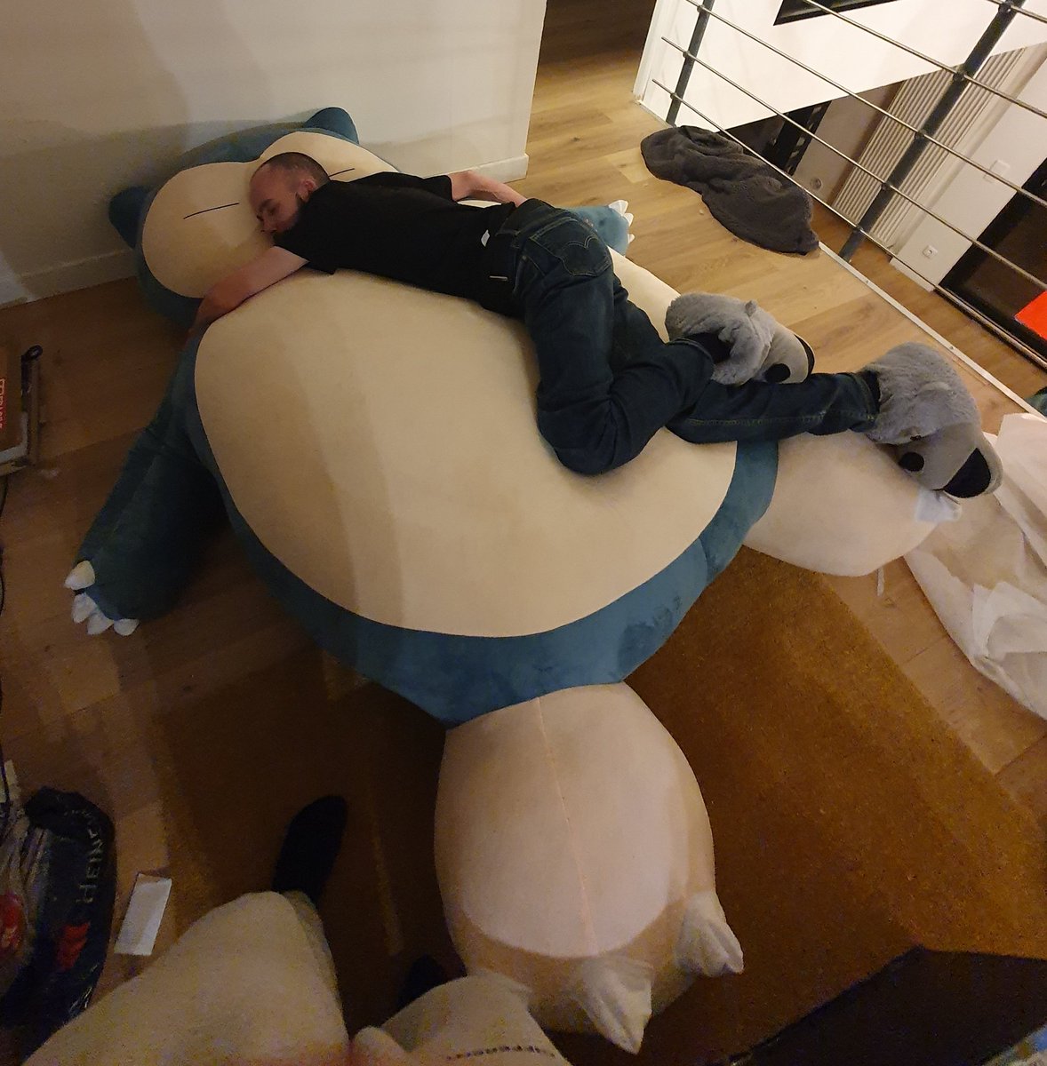 Method_Fresh's tweet photo. Après 20kg de ouatte. Ronflex rejoint fièrement la famille 💛 https://t.co/TT6ZlhI8O2