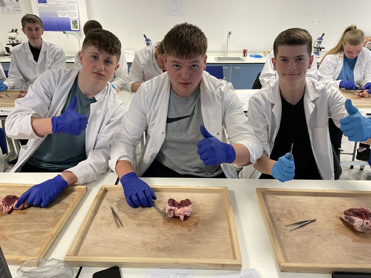 Level 3 SPEX <a href="/NCFE/">NCFE</a> <a href="/NorthLindsey/">NorthLindseyCollege</a> learners stepped up their investigation of the cardiovascular system by getting hands on and performing a heart dissection ❤️ #TeamNLC