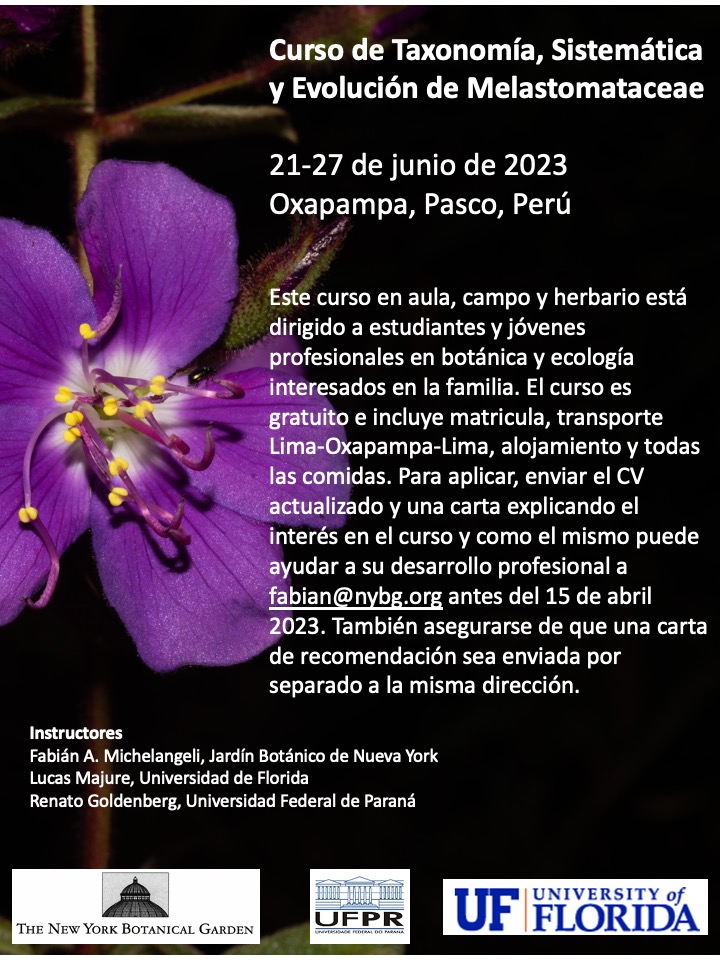 Fabián A. Michelangeli (@pedoconnective) on Twitter photo Emocionado de anunciar este curso de #melastomataceae as ser dictado en campo junto con <a href="/gloquidias/">Lucas C. Majure</a> y @renato_rgolden. Mas info por DM o correo electrónico. Emocionado de anunciar este curso de #melastomataceae as ser dictado en campo junto con <a href="/gloquidias/">Lucas C. Majure</a> y @renato_rgolden. Mas info por DM o correo electrónico.