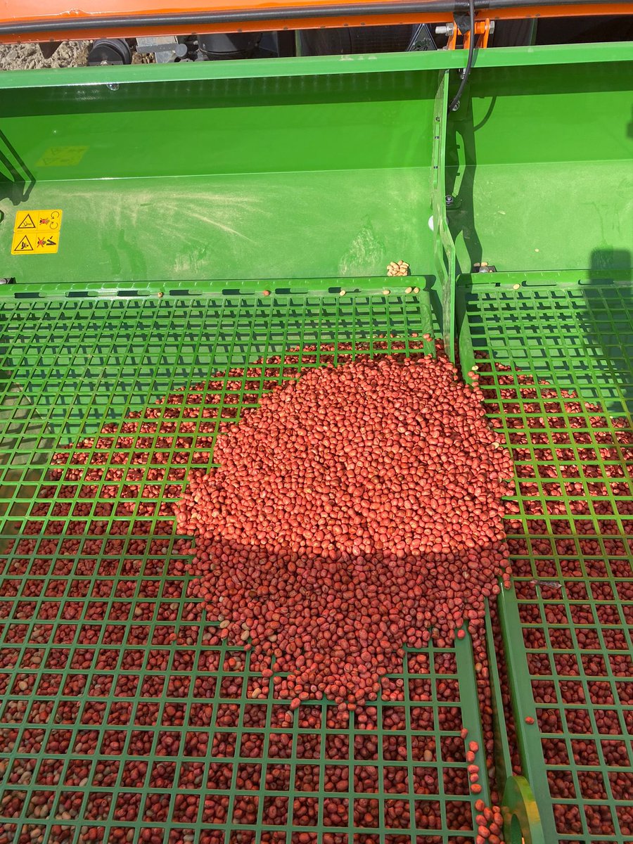 Na enige aanpassingen aan onze 6 meter kopeg zaaimachine, is deze nu ook geschikt om veldbonen te zaaien.