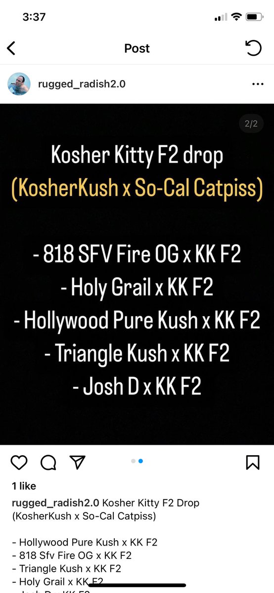 MICHIGROWN (@michigrown) on Twitter photo 