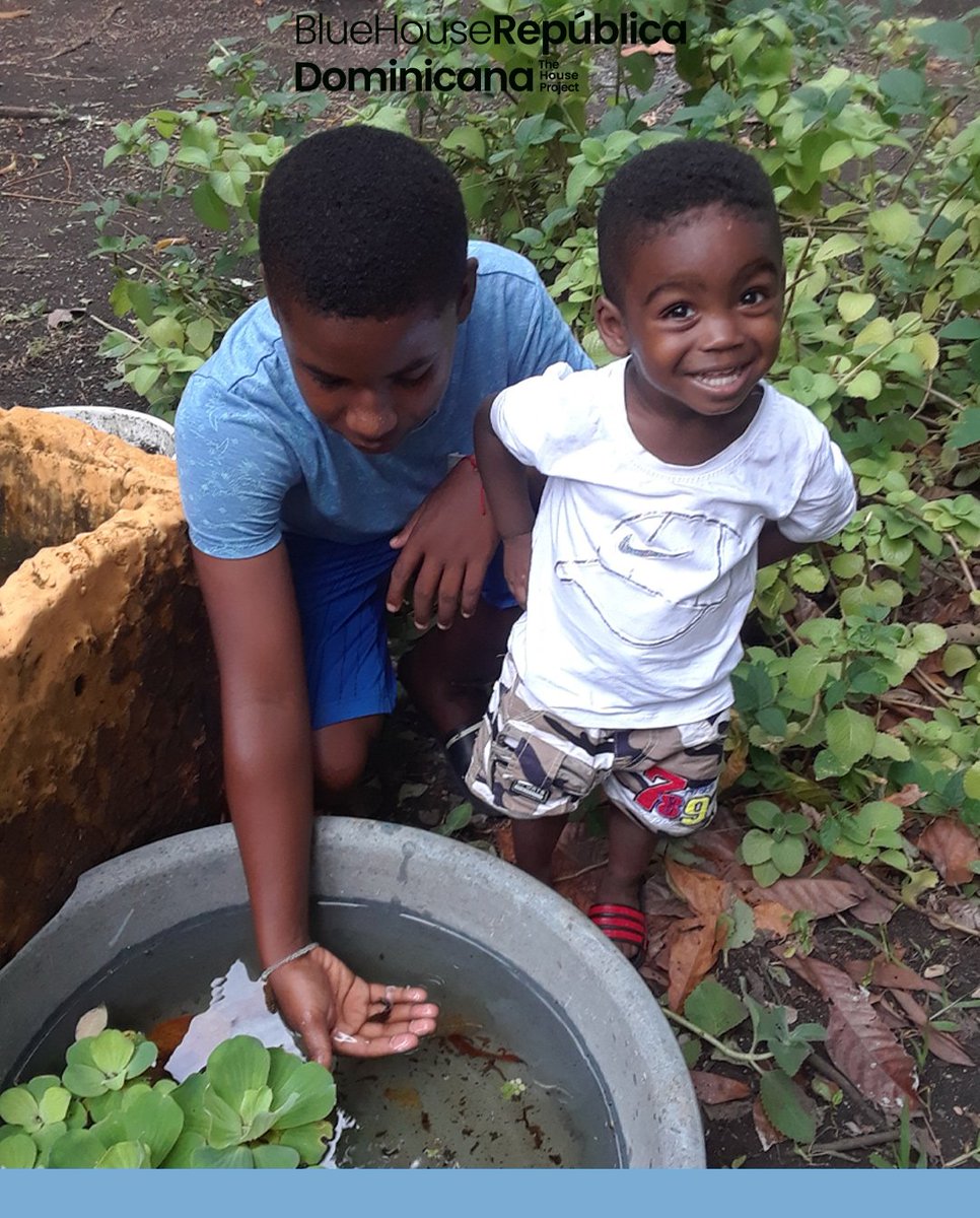 ¡Verlos crecer felices es lo que más queremos! 💙

En nuestra casa Blue House nuestro objetivo es que cada familia reciba una vivienda segura, digna y con todos los servicios necesarios (agua, luz y drenaje) para su desarrollo físico y emocional.

¡Súmate a nuestra manada!