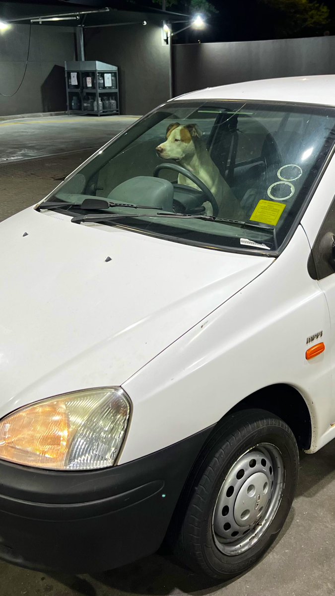 Kevin Peraza tweet media