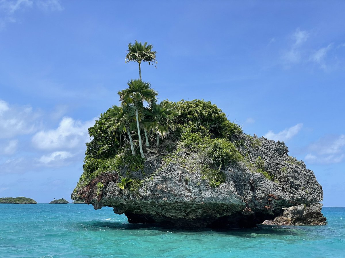 JTuisinu's tweet photo. I have to say the Province of Lau is beautiful on the surface and also below the waves.

Beautiful islands complimented with tropical beaches, exotic landscape &amp; magnificent marine life… https://t.co/f5jUpTXB3m