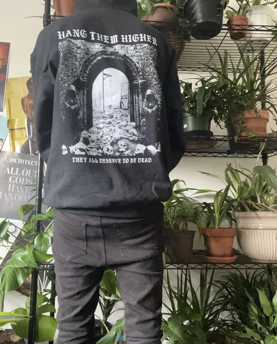 Alexander tweet media